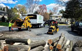 Best Tree Health Inspection  in Smethport, PA